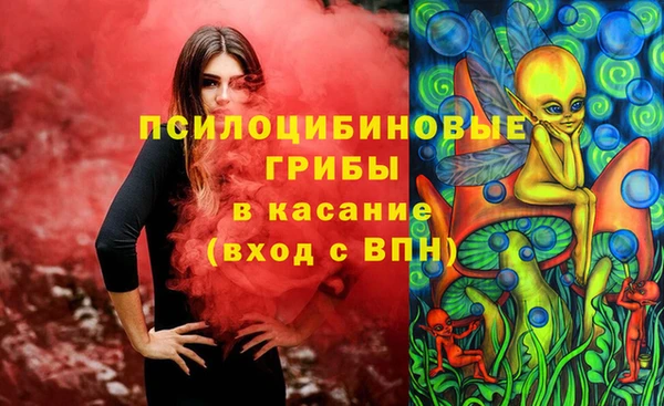 прущая мука Михайлов