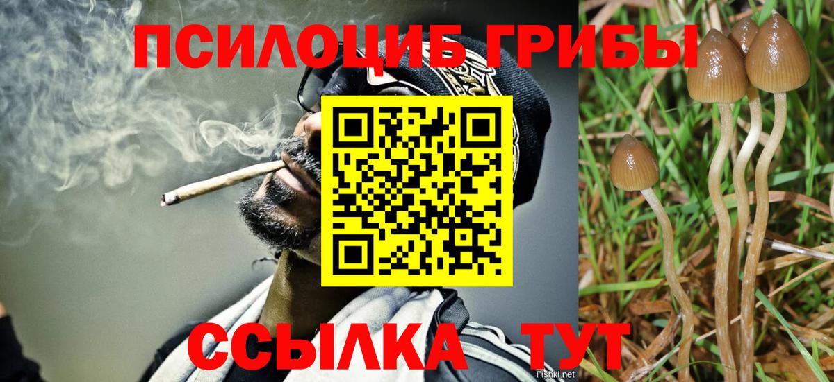 Галлюциногенные грибы мицелий  Вход с VPN  Прохладный 