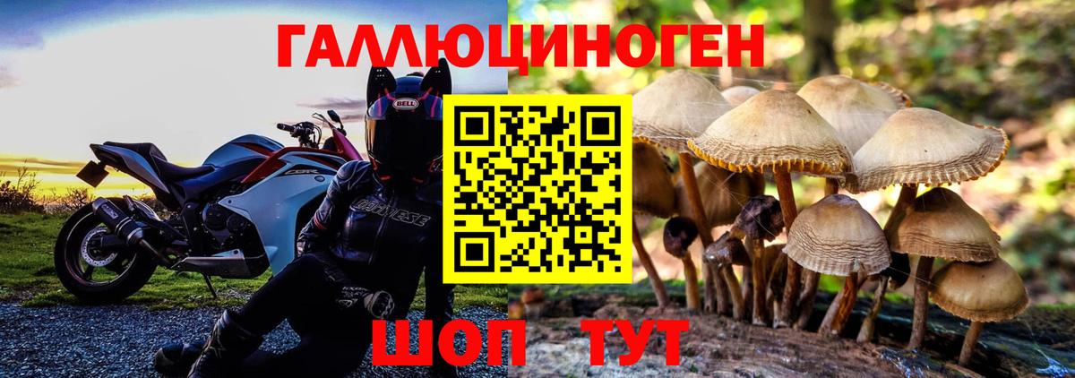 Псилоцибиновые грибы Psilocybe  Галлюциногенные грибы GOLDEN TEACHER  закладки  Прохладный 